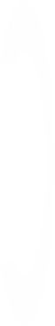 r1